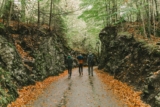 Family-Friendly Road Trip Tips for Kids and Adults